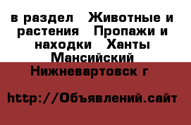  в раздел : Животные и растения » Пропажи и находки . Ханты-Мансийский,Нижневартовск г.